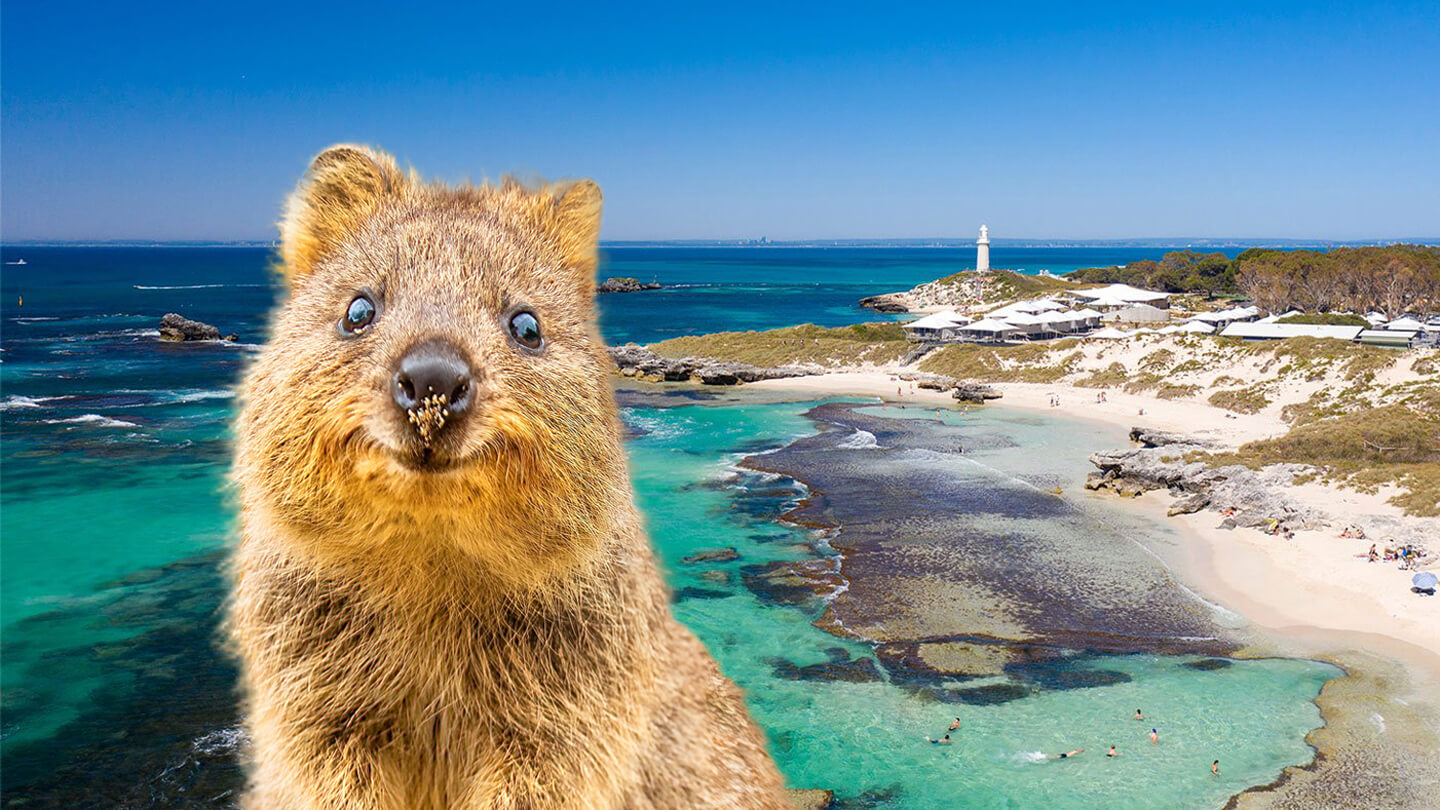 Quokka Habitat Map Quokka Habitat Map