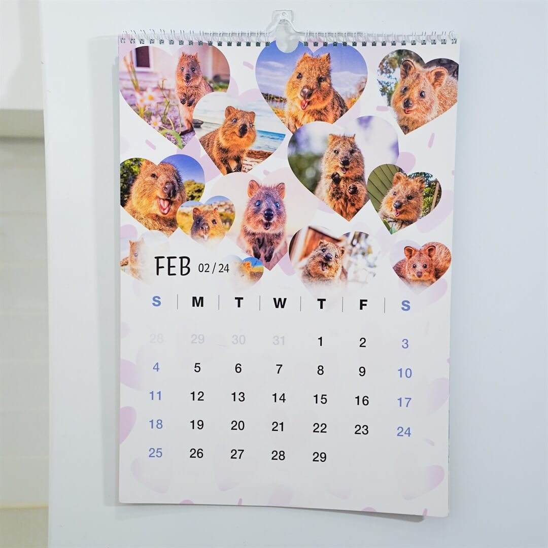 2024 Quokka Fun Calendar - Premium