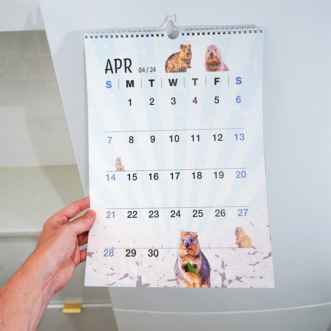 2024 Quokka Fun Calendar - Premium