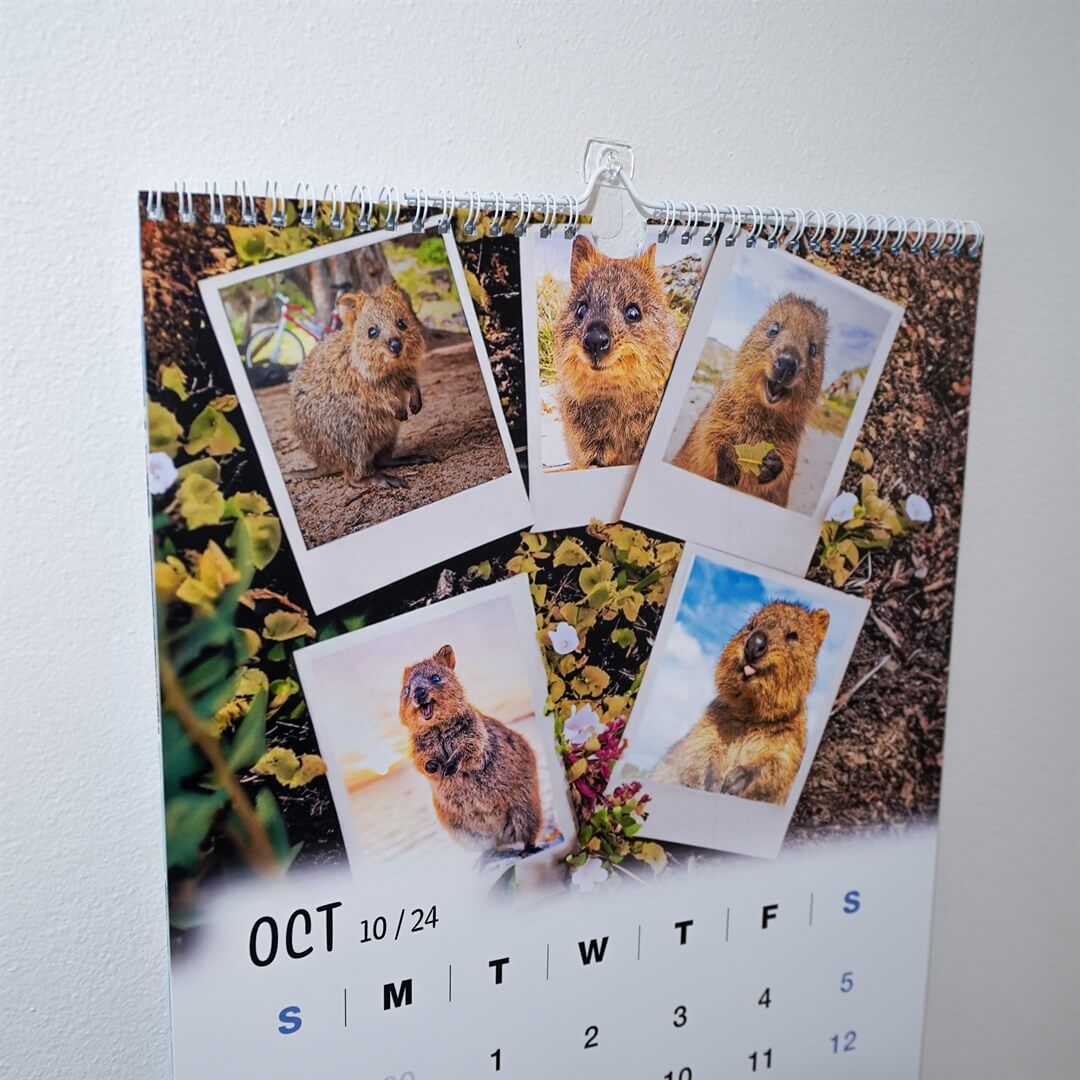 2024 Quokka Fun Calendar - Premium