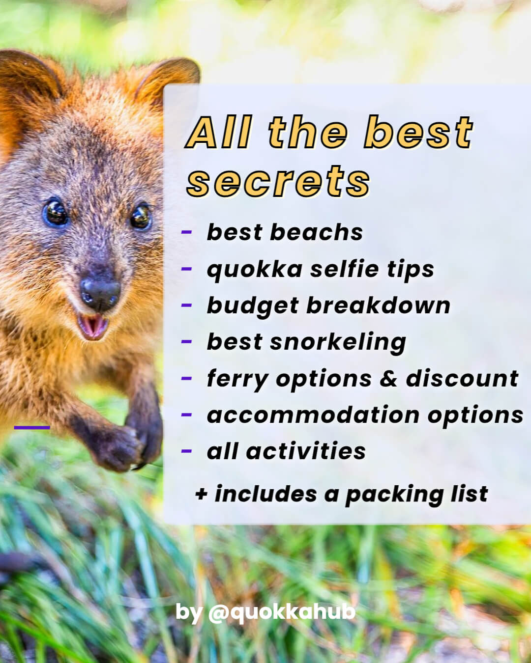 Rottnest Island - Ultimate Mini Travel Guide