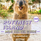 Rottnest Island - Ultimate Mini Travel Guide