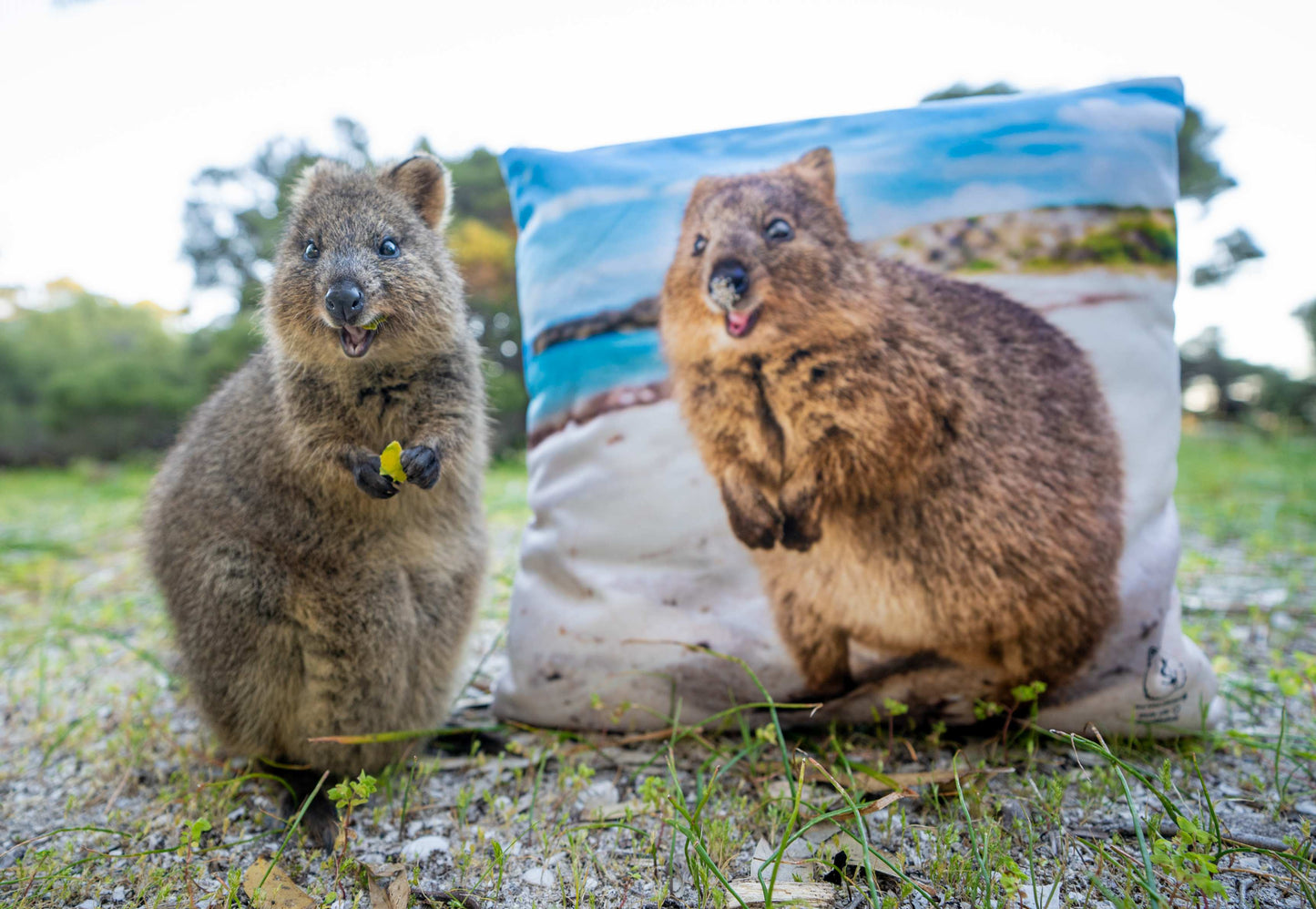 Quokka Smile Throw Pillow Square
