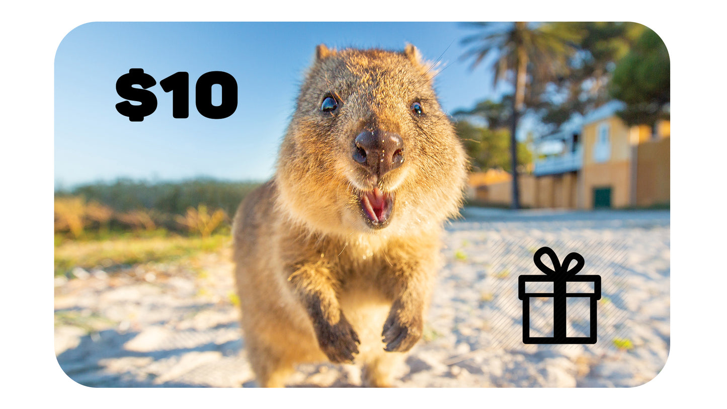 Gift Cards - Quokka Shop