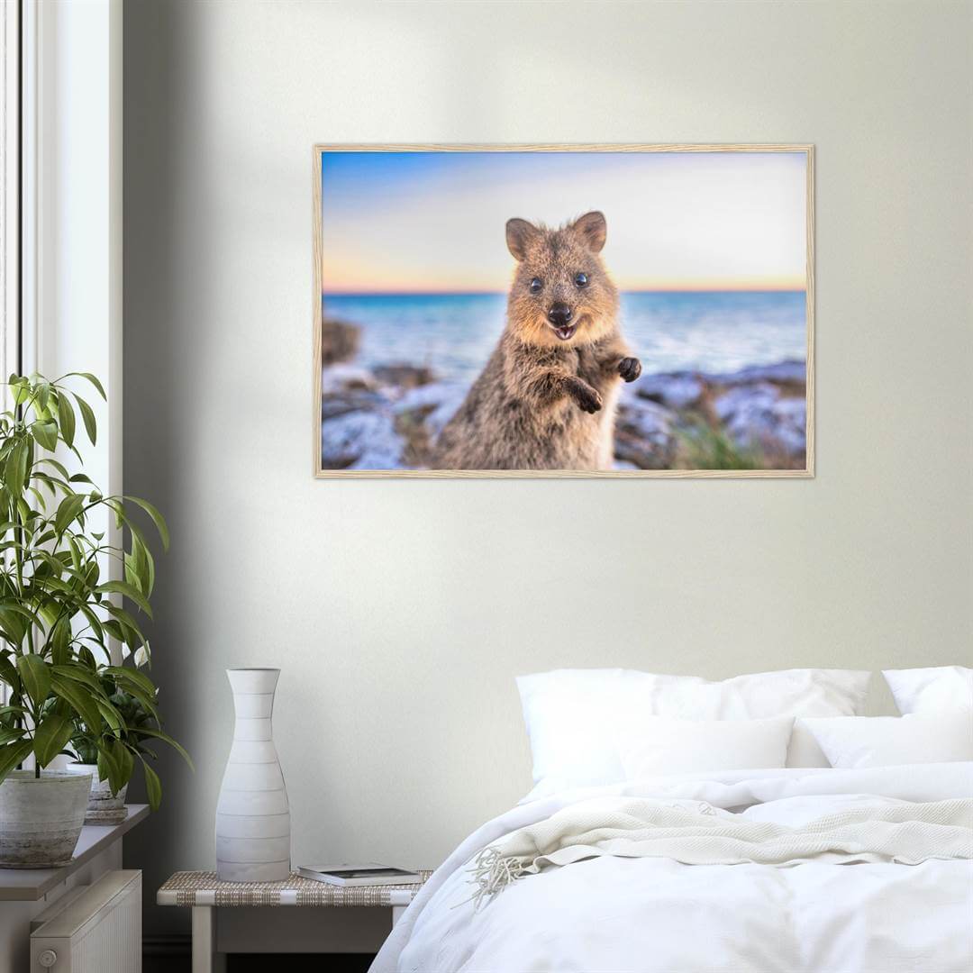 Sunrise - Quokka Portrait Print