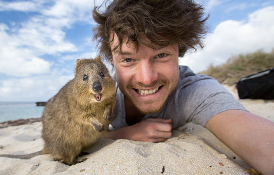 How To Take A Selfie With A Quokka - The Ultimate Guide