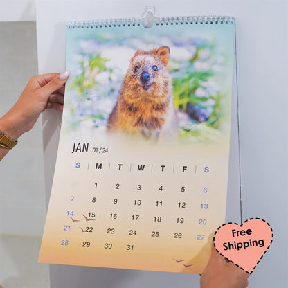 2024 Quokka Fun Calendar - Premium
