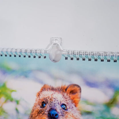 2024 Quokka Fun Calendar - Premium