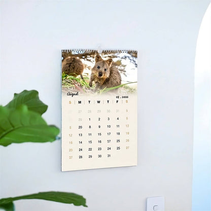 Quokka 2026 Calendar - Premium Edition