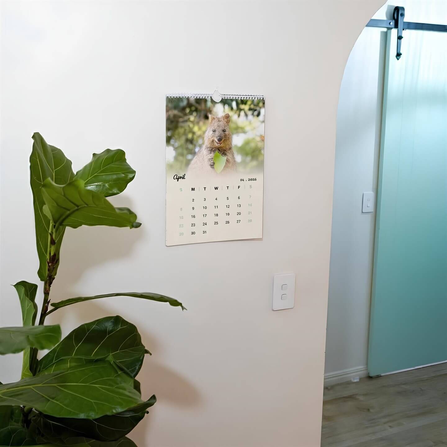 Quokka 2026 Calendar - Premium Edition