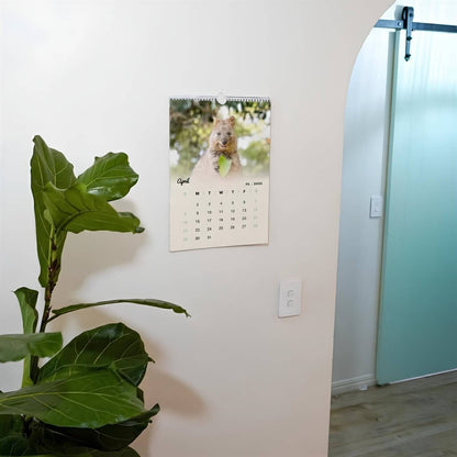 Quokka 2026 Calendar - Premium Edition