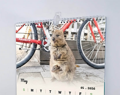 Quokka 2026 Calendar - Premium Edition