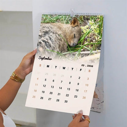 Quokka 2026 Calendar - Premium Edition
