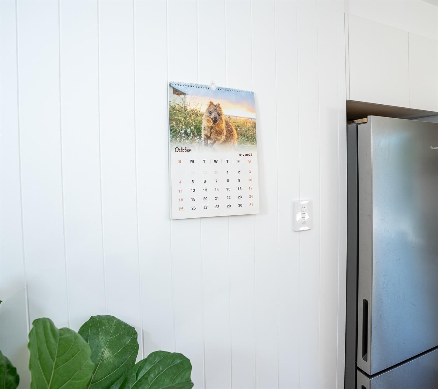 Quokka 2026 Calendar - Premium Edition