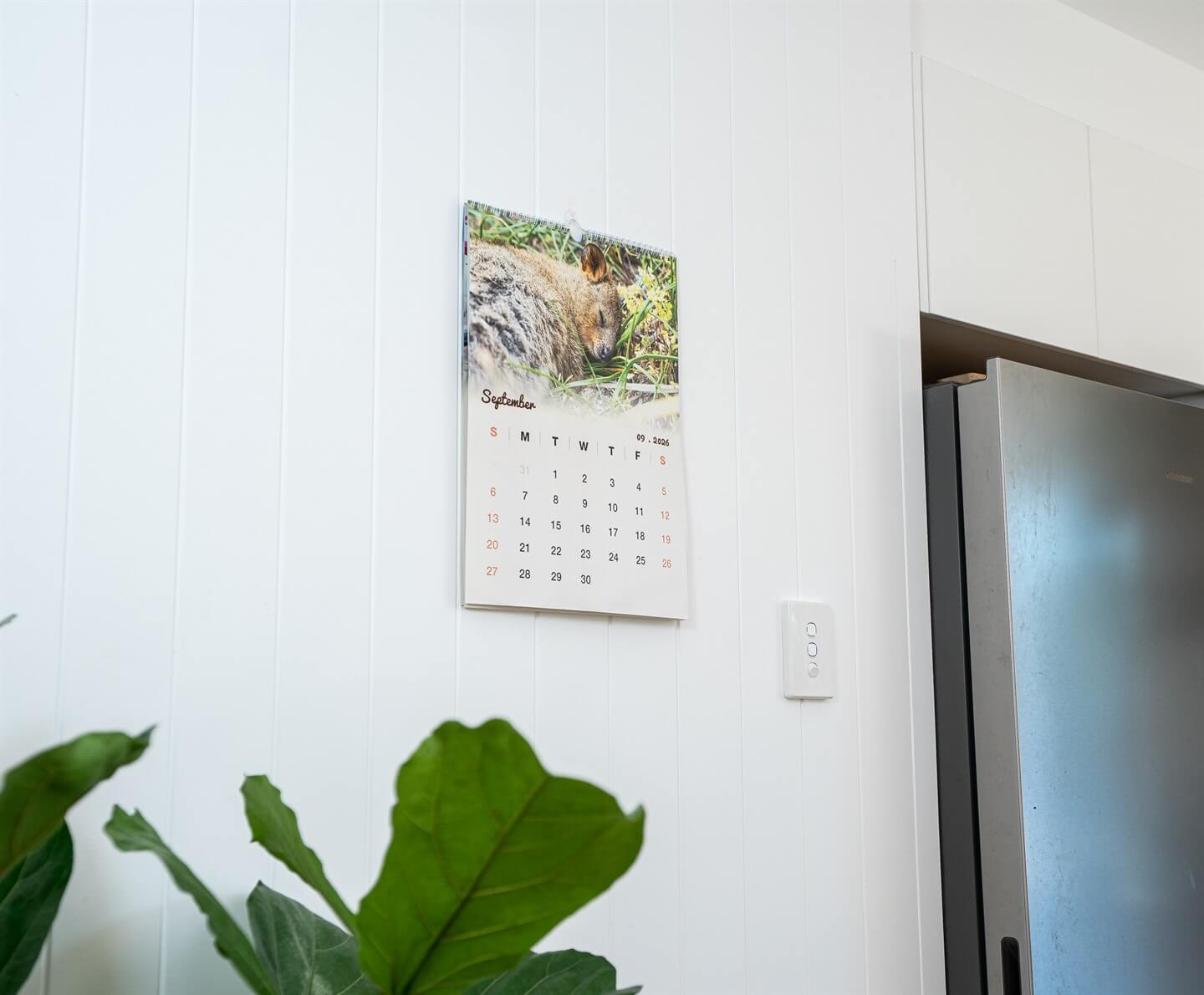 Quokka 2026 Calendar - Premium Edition