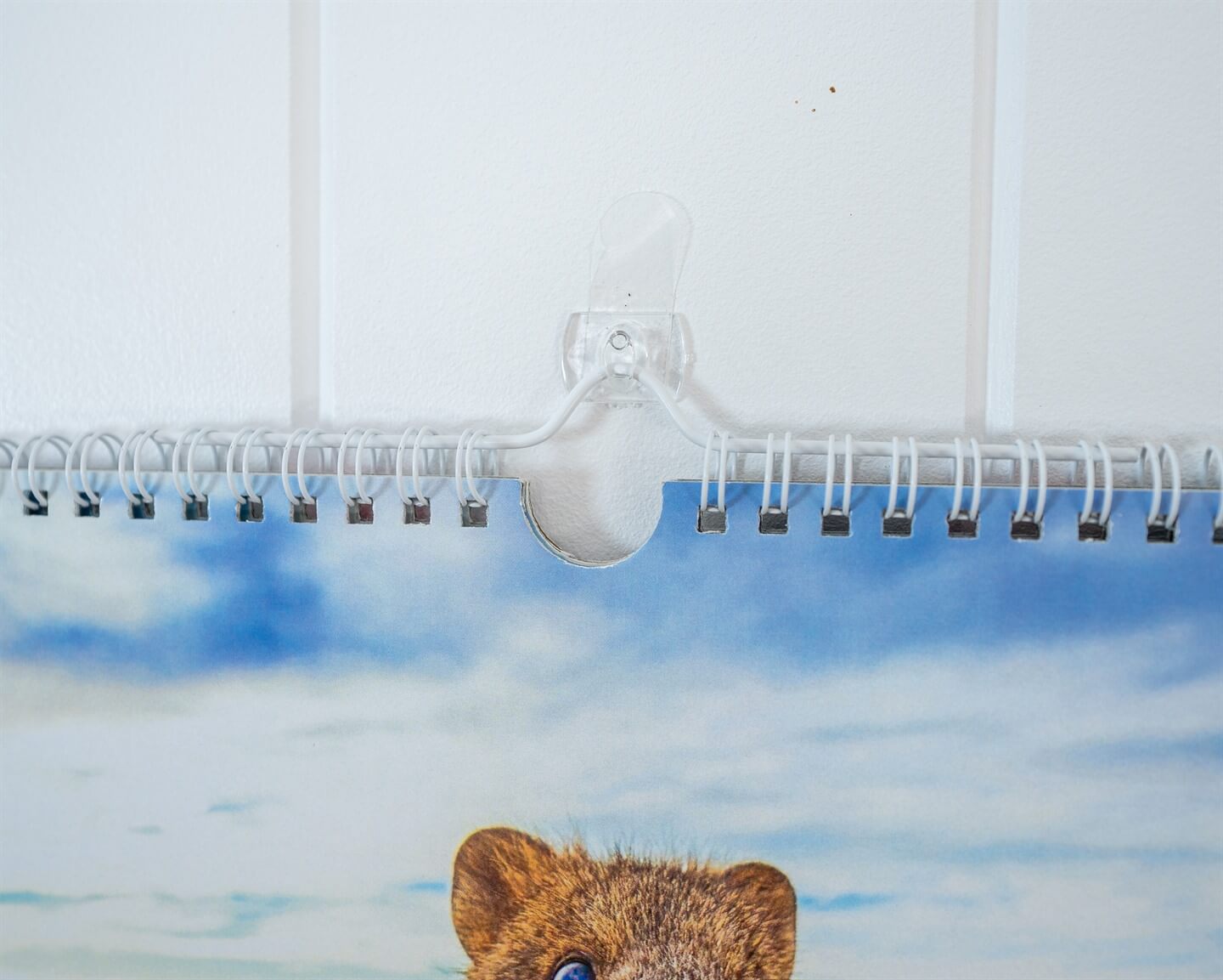 Quokka 2026 Calendar - Premium Edition