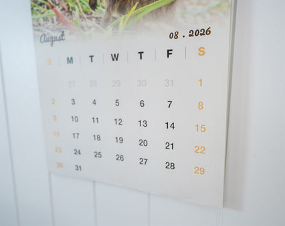 Quokka 2026 Calendar - Premium Edition