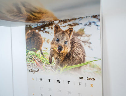Quokka 2026 Calendar - Premium Edition