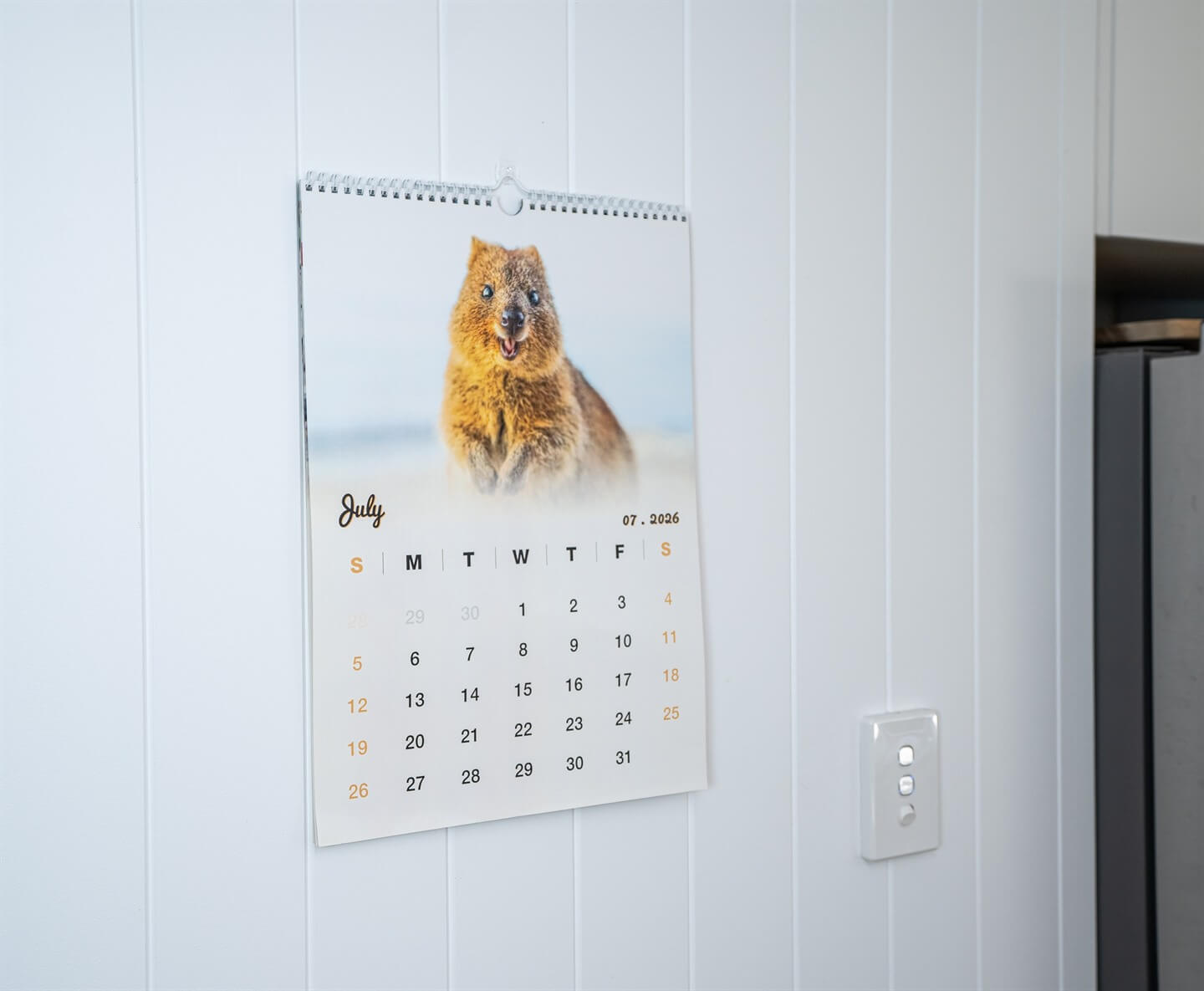 Quokka 2026 Calendar - Premium Edition