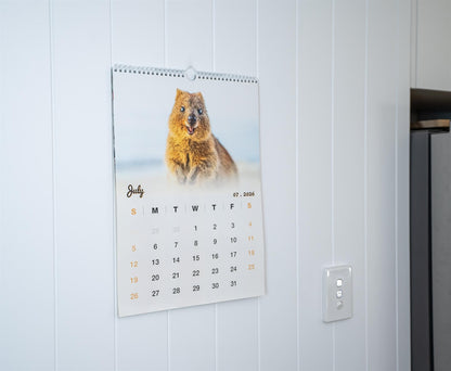 Quokka 2026 Calendar - Premium Edition