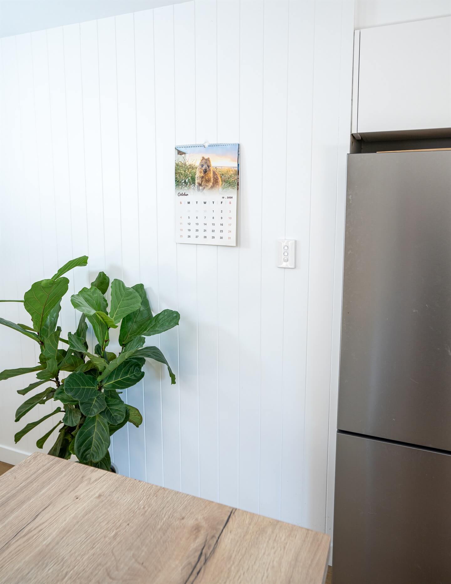 Quokka 2026 Calendar - Premium Edition