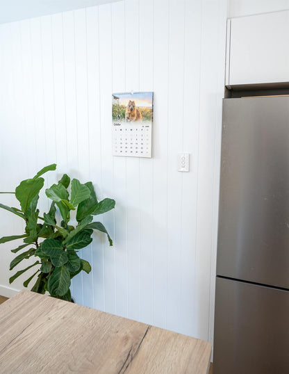 Quokka 2026 Calendar - Premium Edition