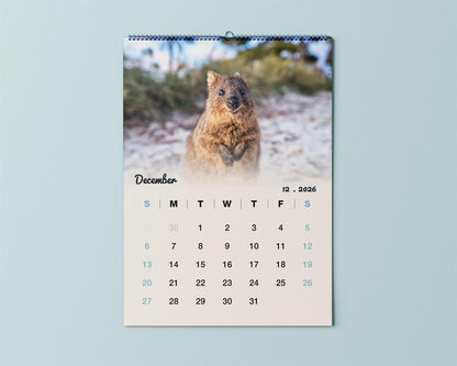 Quokka 2026 Calendar - Premium Edition