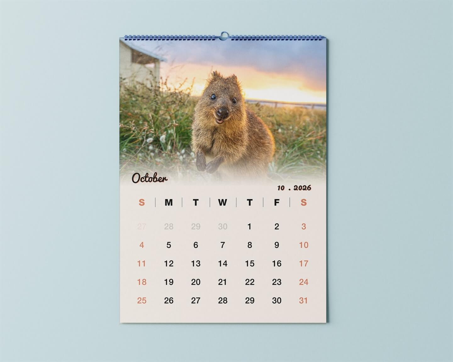 Quokka 2026 Calendar - Premium Edition