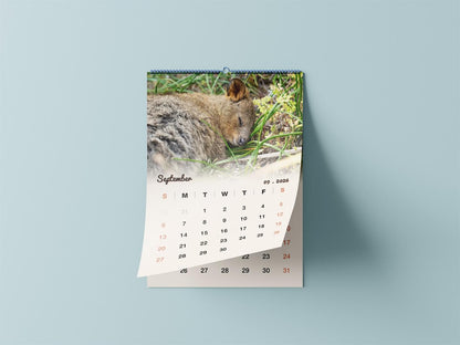 Quokka 2026 Calendar - Premium Edition