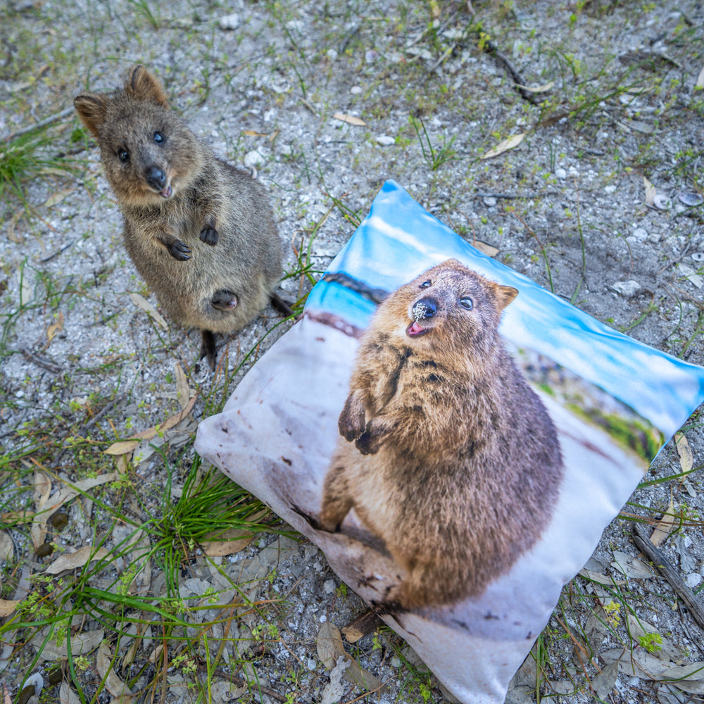 Quokka Smile Throw Pillow Square