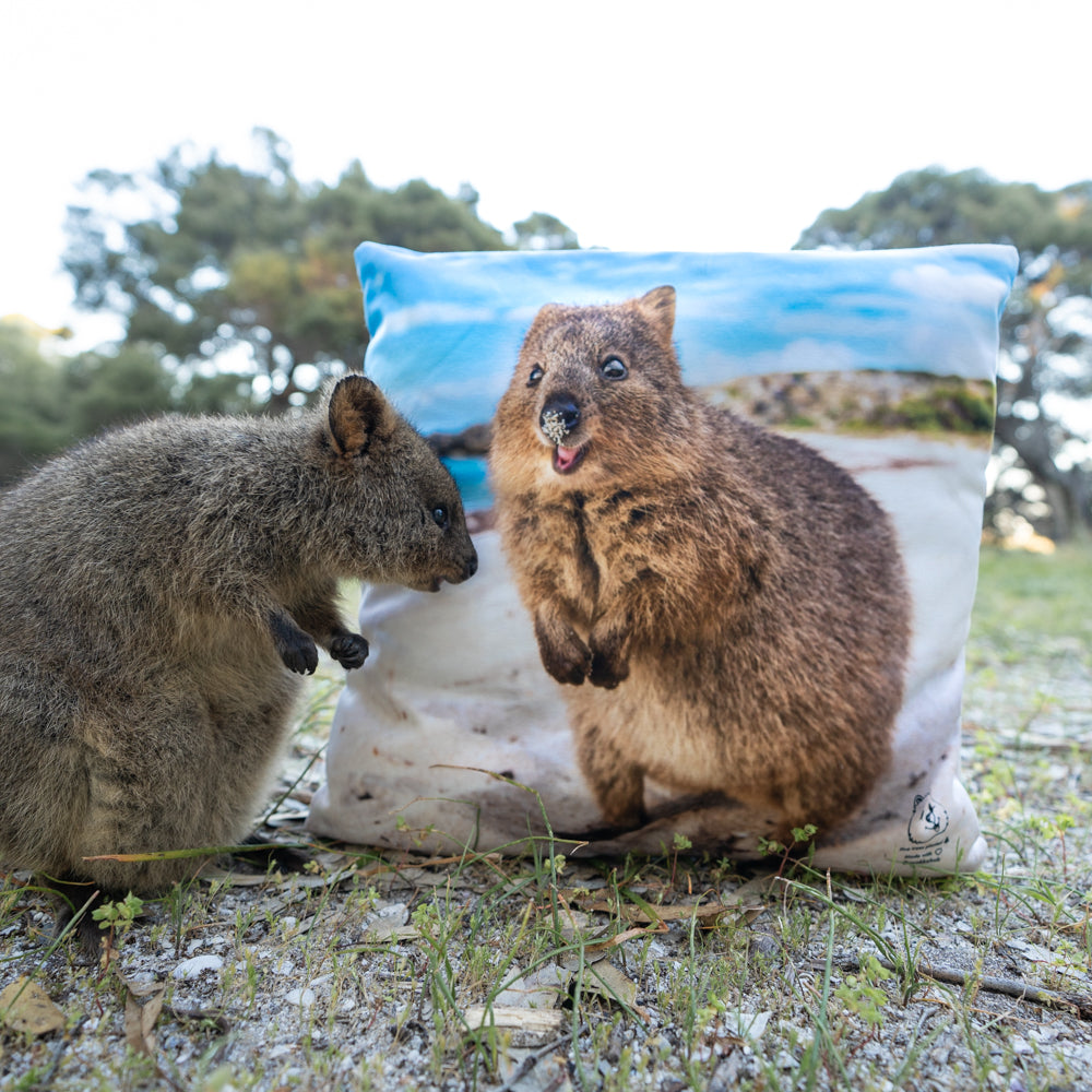 Quokka Smile Throw Pillow Square