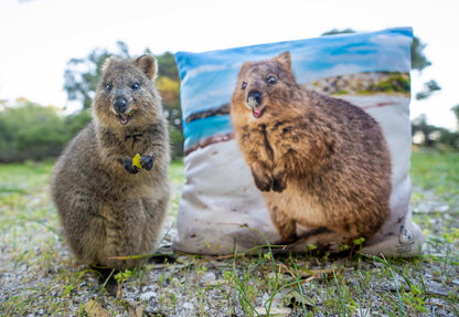 Quokka Smile Throw Pillow Square