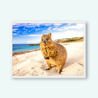Beach - Quokka Portrait Print