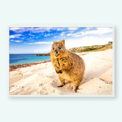 Beach - Quokka Portrait Print