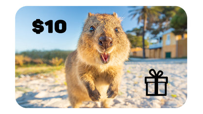 Gift Cards - Quokka Shop
