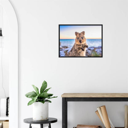 Sunrise - Quokka Portrait Print