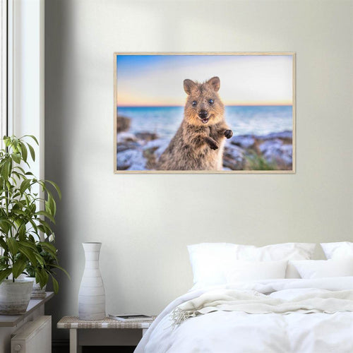 Sunrise - Quokka Portrait Print