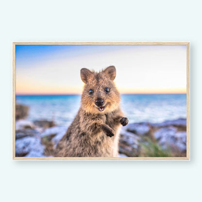 Sunrise - Quokka Portrait Print